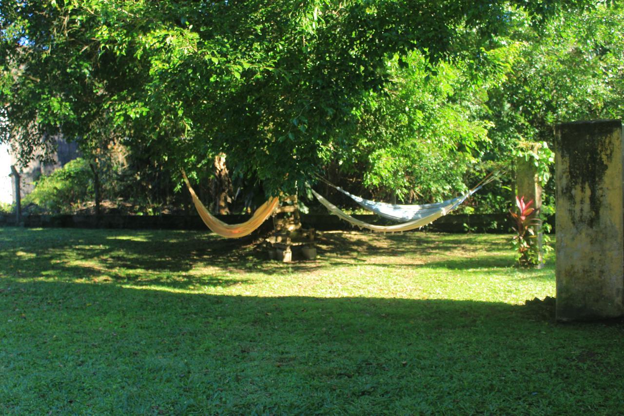 Junglez Eco Hostel Guarau Εξωτερικό φωτογραφία